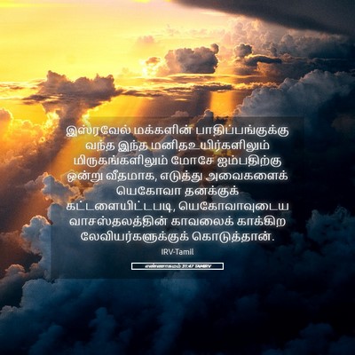Picture 05 - எண்ணாகமம் 31:47 TAMIRV - இஸ்ரவேல் மக்களின் - Bible Verse Picture