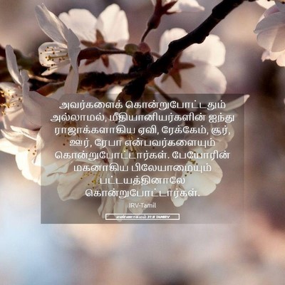 Picture 05 - எண்ணாகமம் 31:8 TAMIRV - அவர்களைக் - Bible Verse Picture