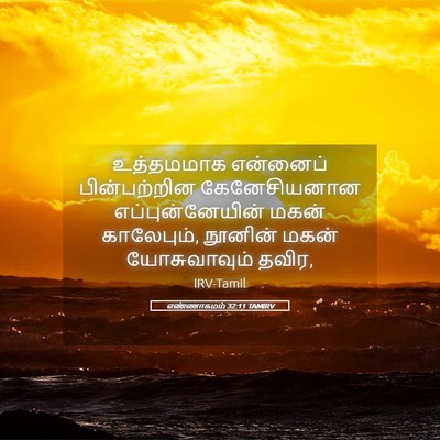 Picture 05 - எண்ணாகமம் 32:11 TAMIRV - உத்தமமாக என்னைப் - Bible Verse Picture