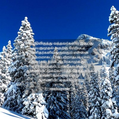 Picture 05 - எண்ணாகமம் 32:12 TAMIRV - எகிப்திலிருந்து - Bible Verse Picture