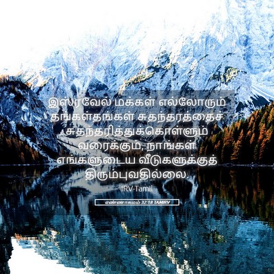 Picture 05 - எண்ணாகமம் 32:18 TAMIRV - இஸ்ரவேல் மக்கள் - Bible Verse Picture