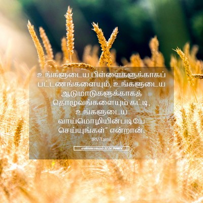 Picture 05 - எண்ணாகமம் 32:24 TAMIRV - உங்களுடைய - Bible Verse Picture