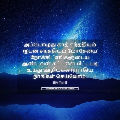Picture 05 - எண்ணாகமம் 32:25 TAMIRV - அப்பொழுது காத் - Bible Verse Picture