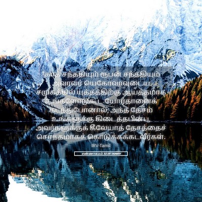 Picture 05 - எண்ணாகமம் 32:29 TAMIRV - “காத் சந்ததியும் - Bible Verse Picture