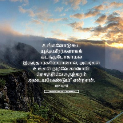 Picture 05 - எண்ணாகமம் 32:30 TAMIRV - உங்களோடுகூட - Bible Verse Picture