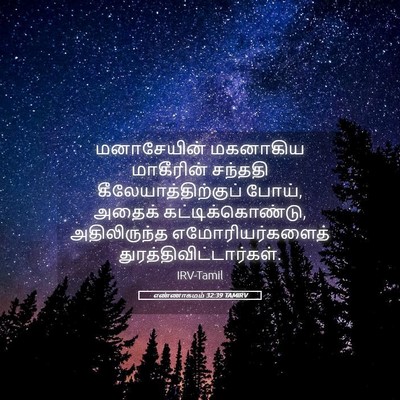 Picture 05 - எண்ணாகமம் 32:39 TAMIRV - மனாசேயின் மகனாகிய - Bible Verse Picture