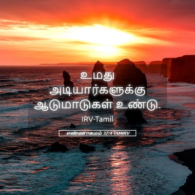 Picture 05 - எண்ணாகமம் 32:4 TAMIRV - உமது - Bible Verse Picture