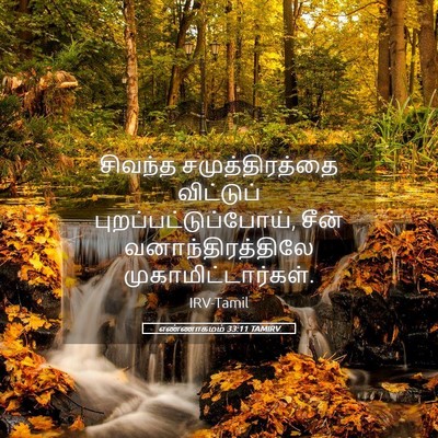 Picture 05 - எண்ணாகமம் 33:11 TAMIRV - சிவந்த - Bible Verse Picture