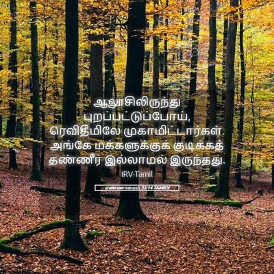 Picture 05 - எண்ணாகமம் 33:14 TAMIRV - ஆலூசிலிருந்து - Bible Verse Picture