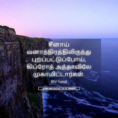 Picture 05 - எண்ணாகமம் 33:16 TAMIRV - சீனாய் - Bible Verse Picture