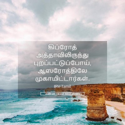 Picture 05 - எண்ணாகமம் 33:17 TAMIRV - கிப்ரோத் - Bible Verse Picture