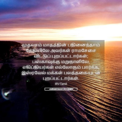 Picture 05 - எண்ணாகமம் 33:3 TAMIRV - முதலாம் மாதத்தின் - Bible Verse Picture