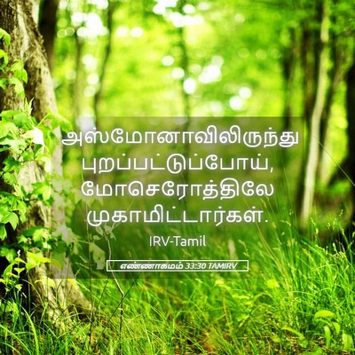 Picture 05 - எண்ணாகமம் 33:30 TAMIRV -  - Bible Verse Picture
