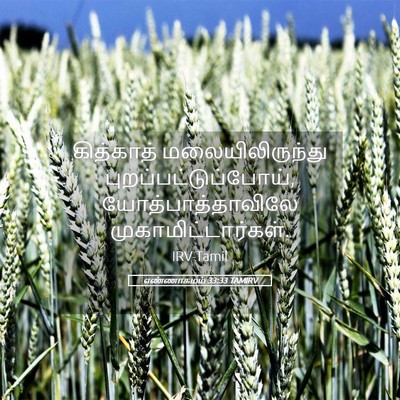 Picture 05 - எண்ணாகமம் 33:33 TAMIRV - கித்காத் - Bible Verse Picture