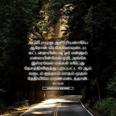 Picture 05 - எண்ணாகமம் 33:38 TAMIRV - அப்பொழுது - Bible Verse Picture