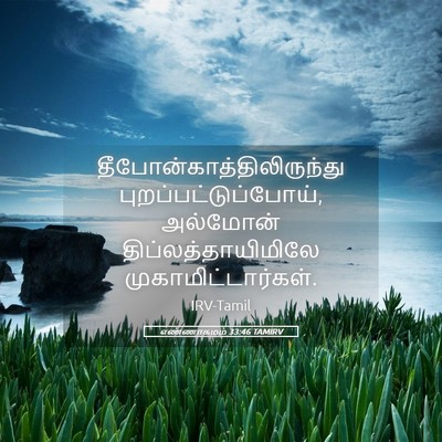 Picture 05 - எண்ணாகமம் 33:46 TAMIRV -  - Bible Verse Picture