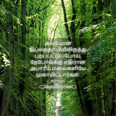 Picture 05 - எண்ணாகமம் 33:47 TAMIRV - அல்மோன் - Bible Verse Picture