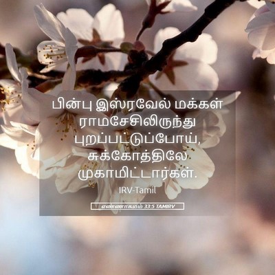Picture 05 - எண்ணாகமம் 33:5 TAMIRV - பின்பு இஸ்ரவேல் - Bible Verse Picture