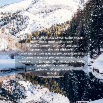 Picture 05 - எண்ணாகமம் 33:55 TAMIRV - நீங்கள் தேசத்தின் - Bible Verse Picture
