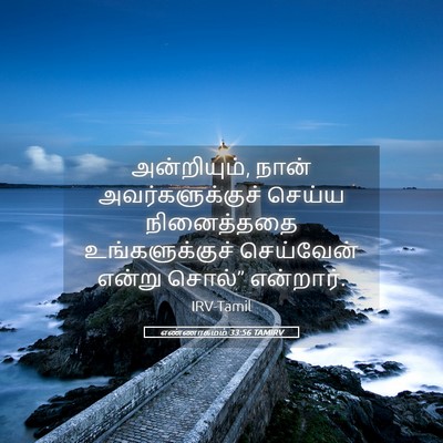Picture 05 - எண்ணாகமம் 33:56 TAMIRV - அன்றியும், நான் - Bible Verse Picture