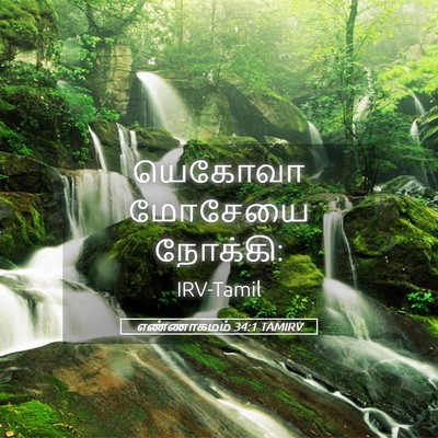 Picture 05 - எண்ணாகமம் 34:1 TAMIRV - யெகோவா மோசேயை - Bible Verse Picture