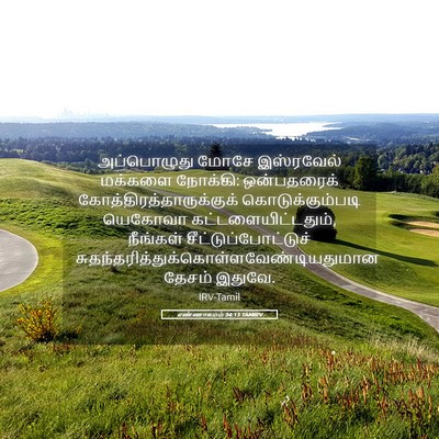 Picture 05 - எண்ணாகமம் 34:13 TAMIRV - அப்பொழுது மோசே - Bible Verse Picture