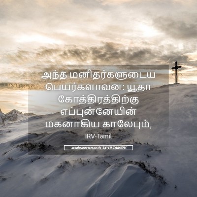 Picture 05 - எண்ணாகமம் 34:19 TAMIRV - அந்த மனிதர்களுடைய - Bible Verse Picture