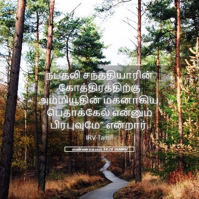 Picture 05 - எண்ணாகமம் 34:28 TAMIRV - நப்தலி - Bible Verse Picture