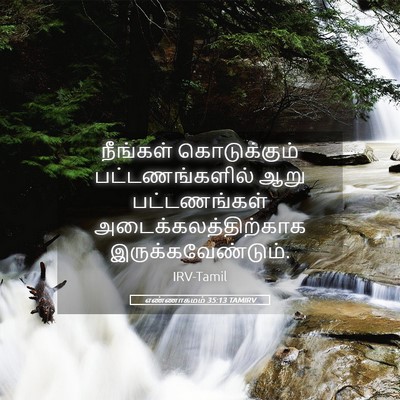 Picture 05 - எண்ணாகமம் 35:13 TAMIRV - நீங்கள் - Bible Verse Picture