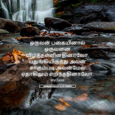 Picture 05 - எண்ணாகமம் 35:20 TAMIRV - ஒருவன் பகையினால் - Bible Verse Picture
