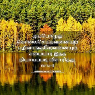 Picture 05 - எண்ணாகமம் 35:24 TAMIRV - அப்பொழுது - Bible Verse Picture