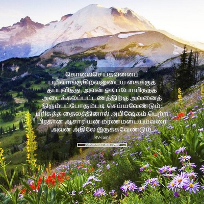 Picture 05 - எண்ணாகமம் 35:25 TAMIRV - கொலைசெய்தவனைப் - Bible Verse Picture