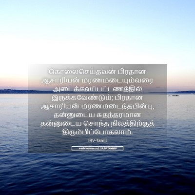 Picture 05 - எண்ணாகமம் 35:28 TAMIRV - கொலைசெய்தவன் - Bible Verse Picture