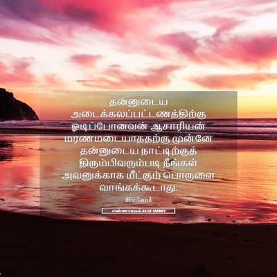 Picture 05 - எண்ணாகமம் 35:32 TAMIRV - தன்னுடைய - Bible Verse Picture
