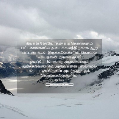 Picture 05 - எண்ணாகமம் 35:6 TAMIRV - நீங்கள் - Bible Verse Picture