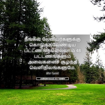 Picture 05 - எண்ணாகமம் 35:7 TAMIRV - நீங்கள் - Bible Verse Picture