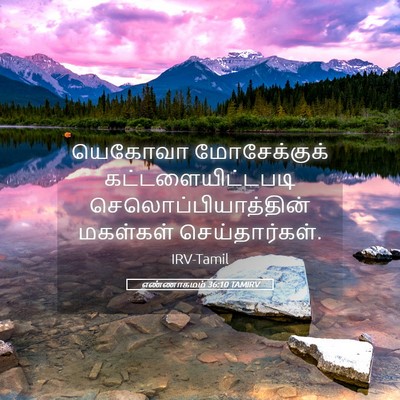 Picture 05 - எண்ணாகமம் 36:10 TAMIRV - யெகோவா மோசேக்குக் - Bible Verse Picture