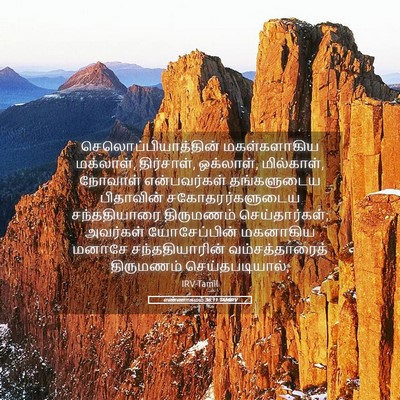Picture 05 - எண்ணாகமம் 36:11 TAMIRV - செலொப்பியாத்தின் - Bible Verse Picture