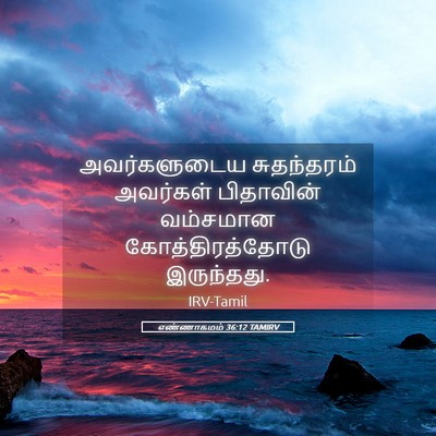 Picture 05 - எண்ணாகமம் 36:12 TAMIRV - அவர்களுடைய - Bible Verse Picture