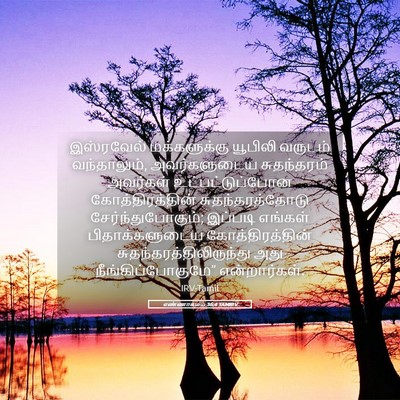 Picture 05 - எண்ணாகமம் 36:4 TAMIRV - இஸ்ரவேல் - Bible Verse Picture