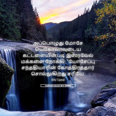 Picture 05 - எண்ணாகமம் 36:5 TAMIRV - அப்பொழுது மோசே - Bible Verse Picture