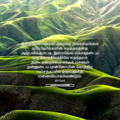 Picture 05 - எண்ணாகமம் 36:8 TAMIRV - இஸ்ரவேல் மக்கள் - Bible Verse Picture