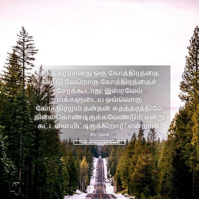 Picture 05 - எண்ணாகமம் 36:9 TAMIRV - சுதந்தரமானது ஒரு - Bible Verse Picture