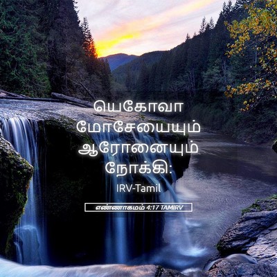 Picture 05 - எண்ணாகமம் 4:17 TAMIRV - யெகோவா மோசேயையும் - Bible Verse Picture