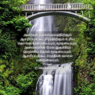 Picture 05 - எண்ணாகமம் 4:25 TAMIRV - அவர்கள் - Bible Verse Picture