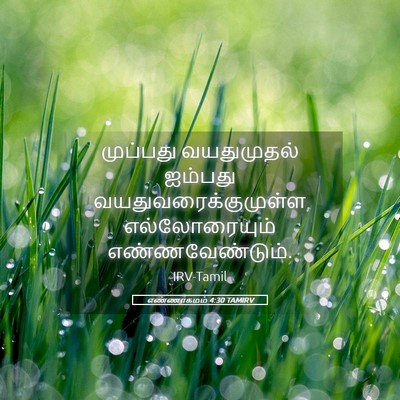 Picture 05 - எண்ணாகமம் 4:30 TAMIRV - முப்பது வயதுமுதல் - Bible Verse Picture