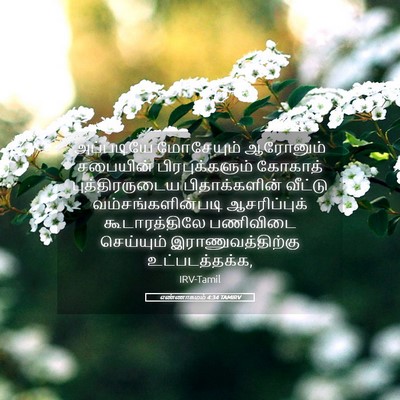 Picture 05 - எண்ணாகமம் 4:34 TAMIRV - அப்படியே மோசேயும் - Bible Verse Picture