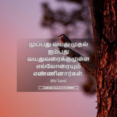 Picture 05 - எண்ணாகமம் 4:35 TAMIRV - முப்பது வயது - Bible Verse Picture