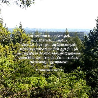 Picture 05 - எண்ணாகமம் 4:37 TAMIRV - யெகோவா மோசேக்குக் - Bible Verse Picture