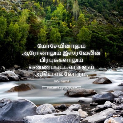 Picture 05 - எண்ணாகமம் 4:47 TAMIRV - மோசேயினாலும் - Bible Verse Picture